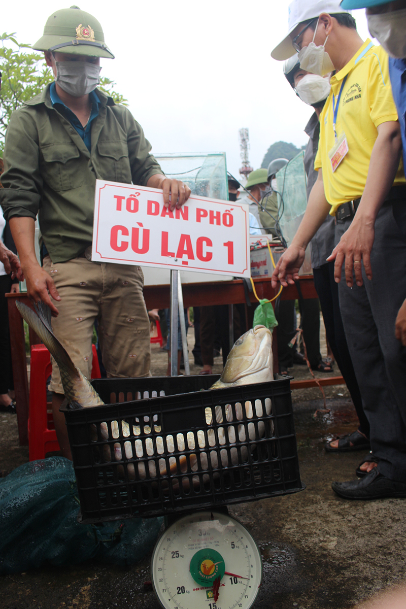 Ban Tổ chức tiến hành cân cá của các đội.