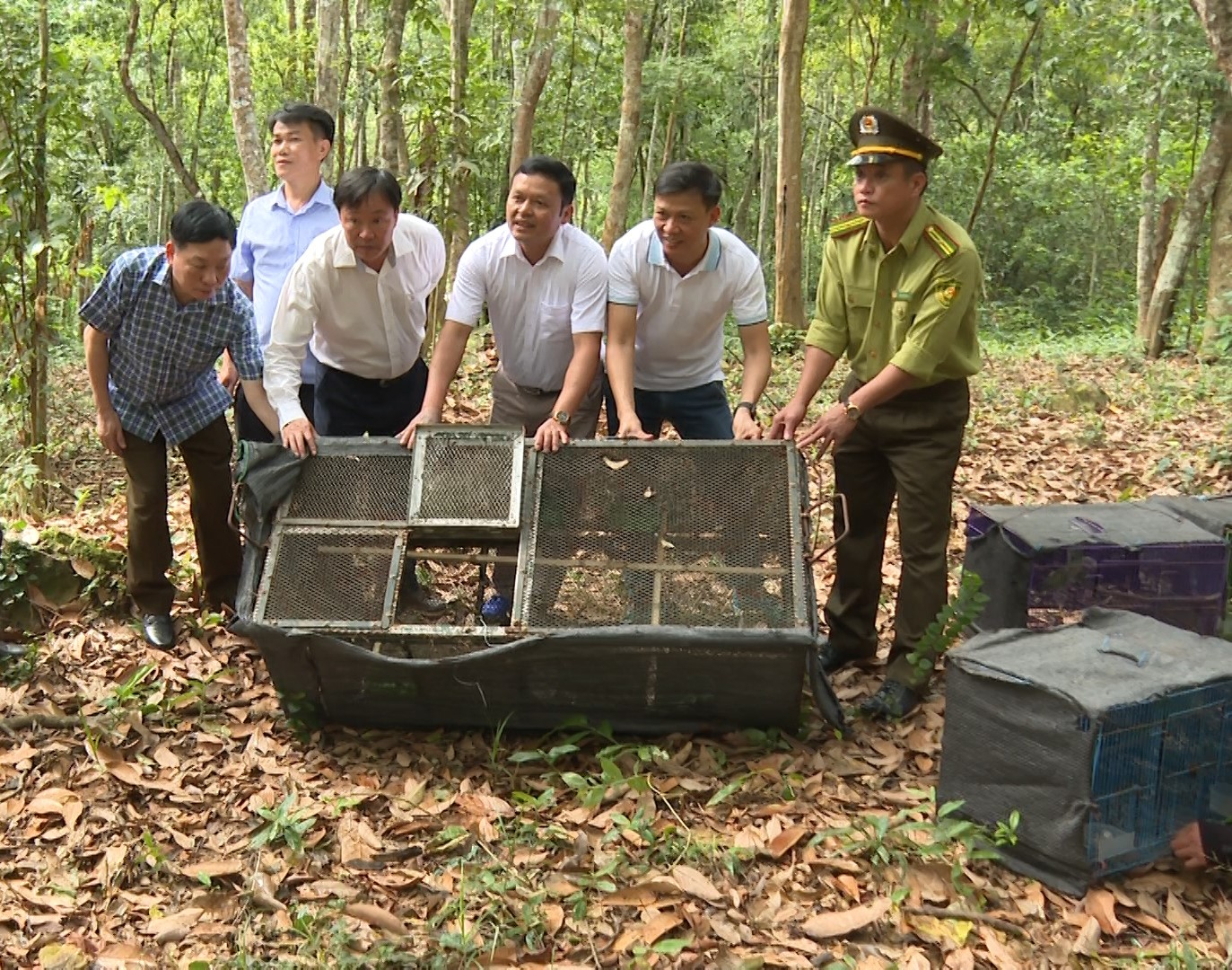 Các cá thể động vật hoang dã được thả về môi trường tự nhiên.