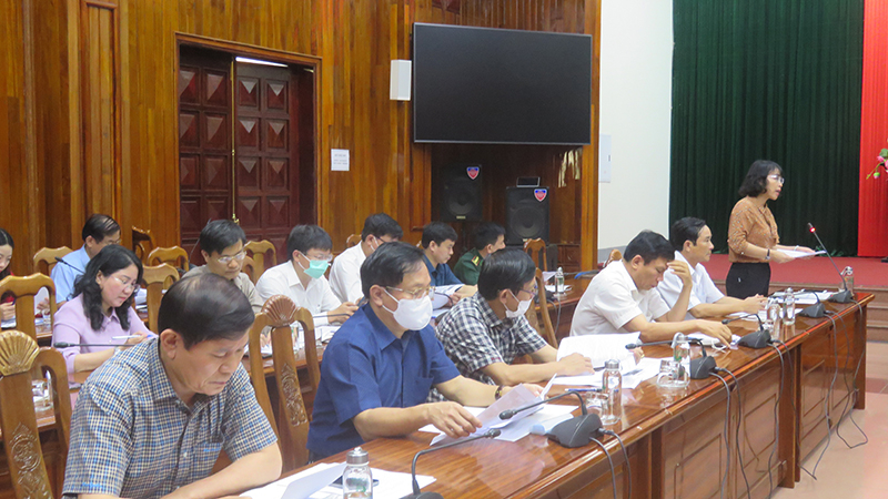 Đại diện Sở Văn hóa -Thể thao đóng góp ý kiến