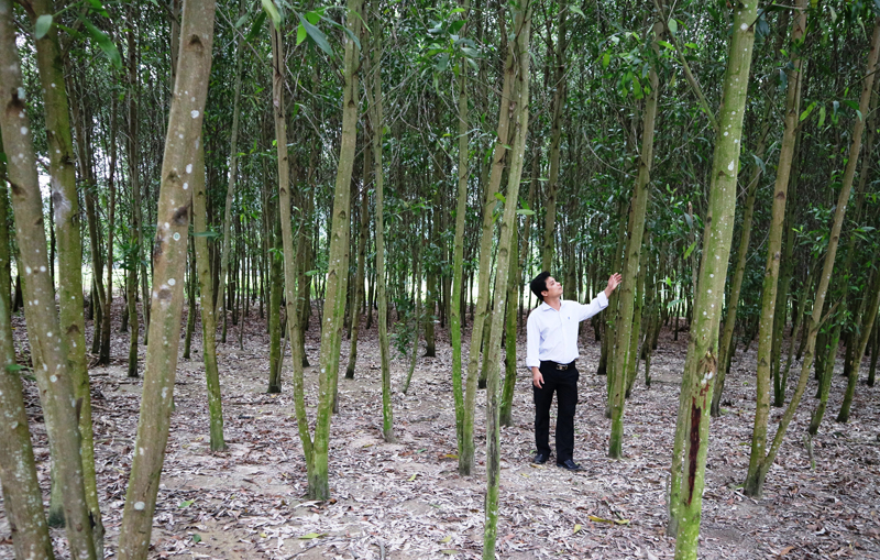Nhiều hộ nghèo trên địa bàn huyện Tuyên Hóa đã chủ động phát triển kinh tế để giảm nghèo bền vững.