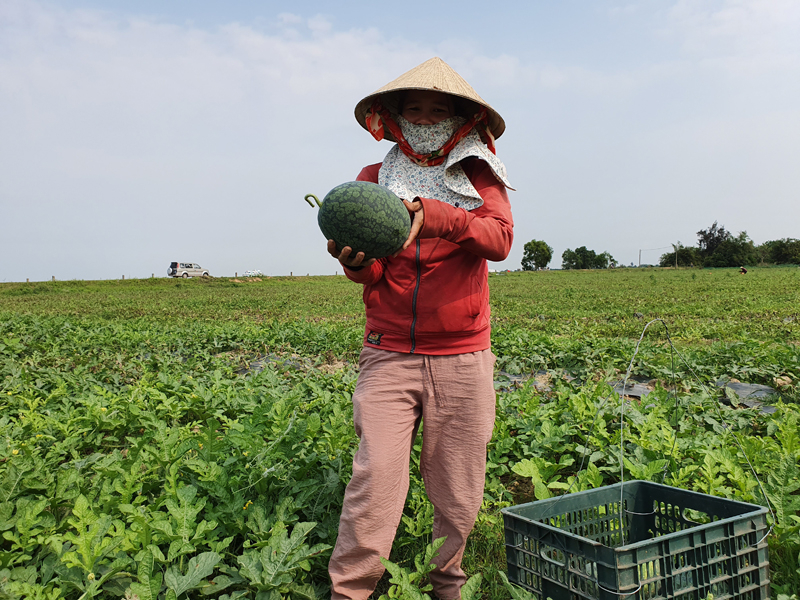 Nhiều mô hình kinh tế của hội viên Hội Nông dân xã Dương Thủy (Lệ Thủy) mang lại hiệu quả kinh tế cao.