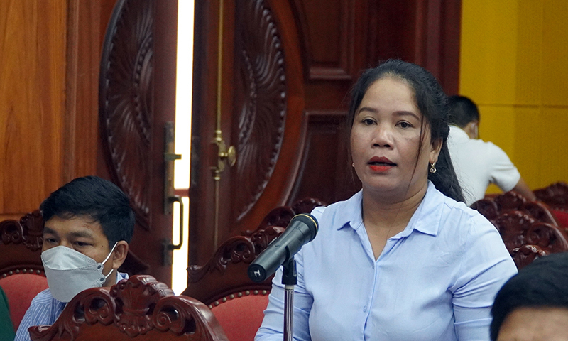 Đại biểu phát biểu tại hội nghị