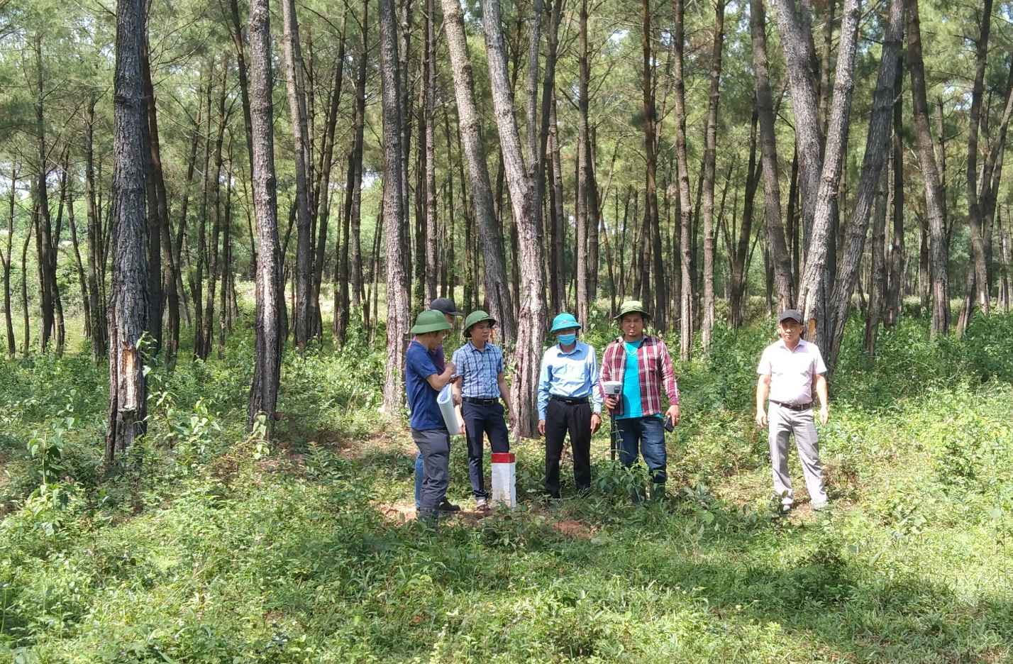 Huyện Lệ Thủy đã hoàn thành nhận bàn giao mốc lộ giới đường cao tốc Bắc-Nam.