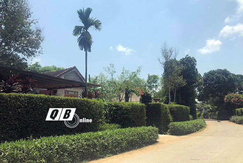 Những hàng rào xanh tại xã Xuân Hóa