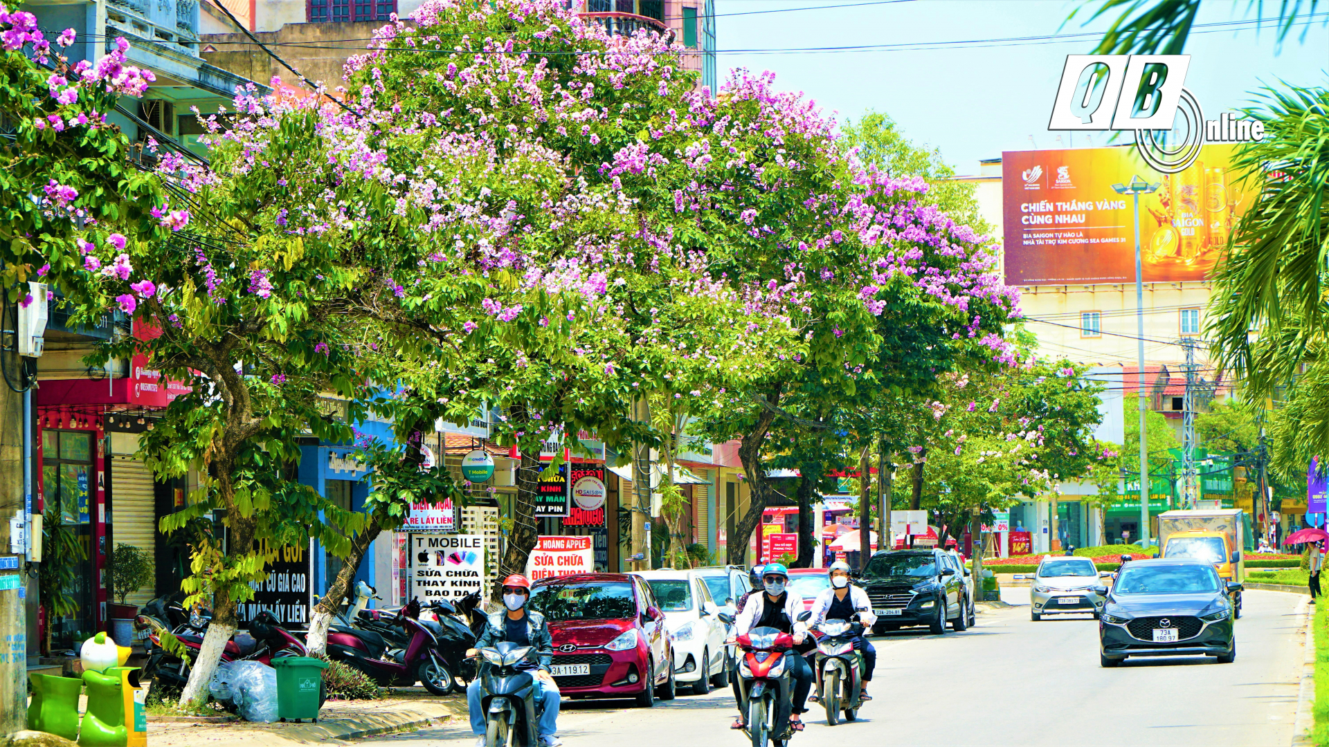 Giờ đây, hoa bằng lăng đã trở thành một điểm nhấn quen thuộc với người dân Đồng Hới, là cái gõ cửa thân thuộc nhất mỗi dịp hè sang.