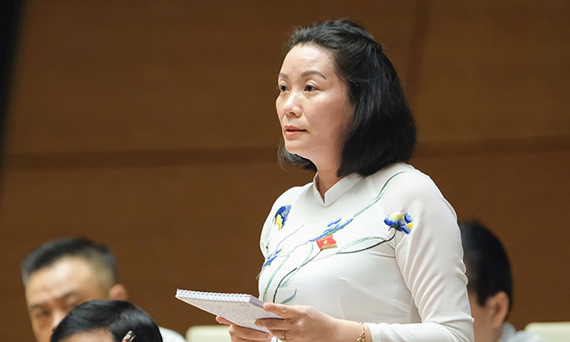 Đại biểu Nguyễn Minh Tâm thảo luận tại hội trường