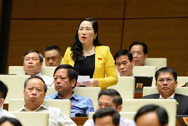 Đại biểu Nguyễn Thị Thủy - đoàn Bắc Kạn phát biểu tại Quốc hội. (Ảnh: Minh Đức/TTXVN)