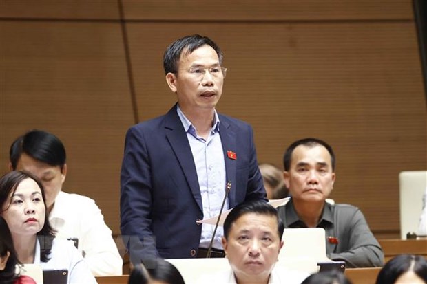 Đại biểu Quốc hội tỉnh Bình Định Đồng Ngọc Ba phát biểu. (Ảnh: Doãn Tấn/TTXVN)
