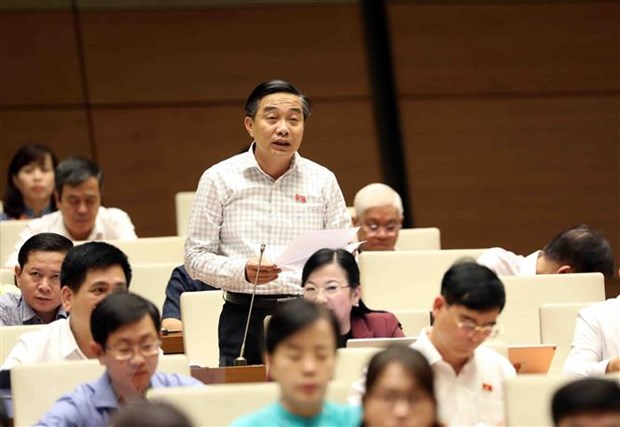 Đại biểu Quốc hội tỉnh Tiền Giang Nguyễn Minh Sơn phát biểu ý kiến. (Ảnh: An Đăng/TTXVN)