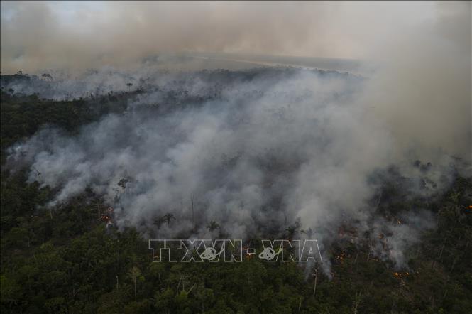 Khói bốc lên từ đám cháy rừng Amazon tại Brazil, ngày 15/9/2021. Ảnh: AFP/TTXVN