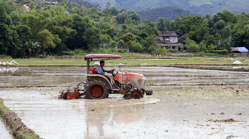 Nông dân Tuyên Hóa làm đất gieo lúa hè-thu.