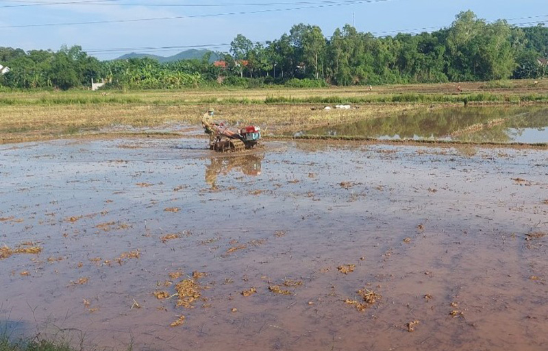 Bà con nông dân huyện Bố Trạch làm đất gieo cấy vụ hè-thu.