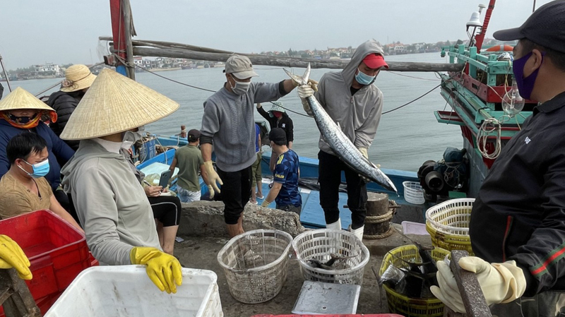 Hải sản Quảng Bình ngon nức tiếng gần xa.