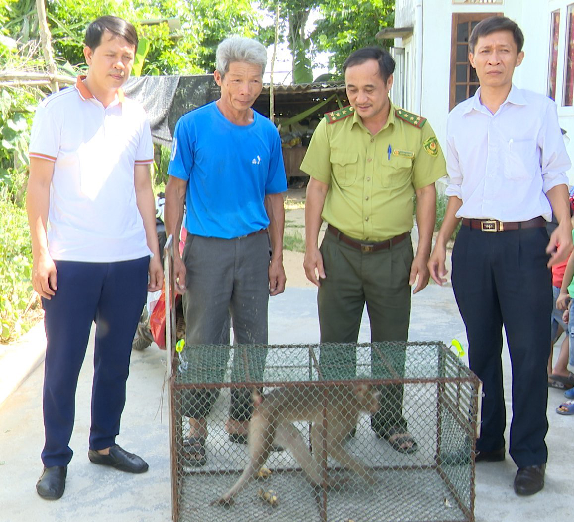 Tiếp nhận cá thể khỉ đuôi lợn từ ông Dương Tùng Phương.