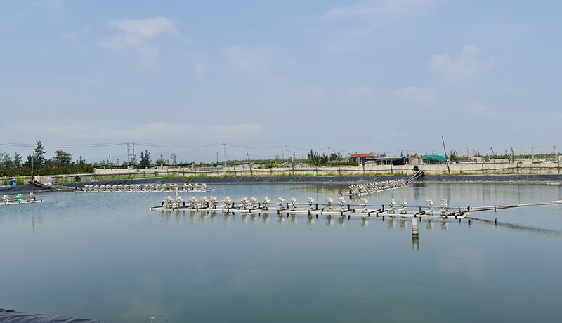Lĩnh vực kinh doanh nông, lâm, thuỷ sản có số truy thu, phạt hành chính lớn qua thanh tra, kiểm tra.