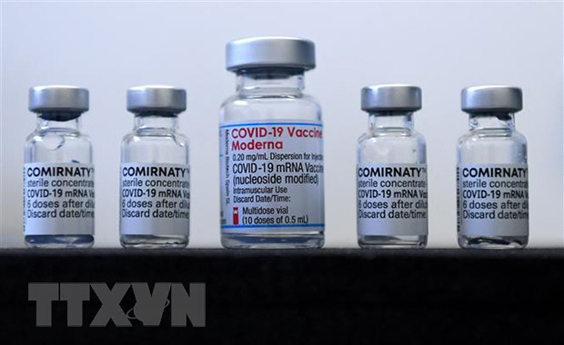 Vaccine ngừa COVID-19 của Pfizer/BioNTech và Moderna. (Ảnh: AFP/TTXVN)