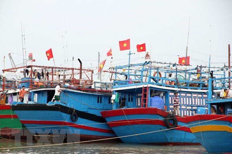 Neo đậu tàu thuyền tránh trú bão. (Ảnh minh họa. Nguồn: TTXVN)