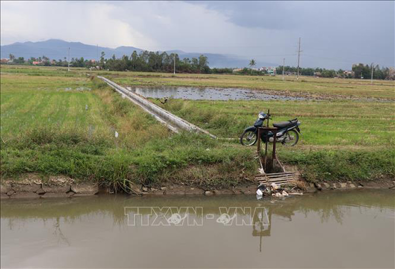 Nông dân huyện Phú Hòa, tỉnh Phú Yên tranh thủ lấy nước từ kênh hệ thống thủy nông Đồng Cam làm đất cấy lúa vụ Hè Thu. Ảnh: Phạm Cường/TTXVN