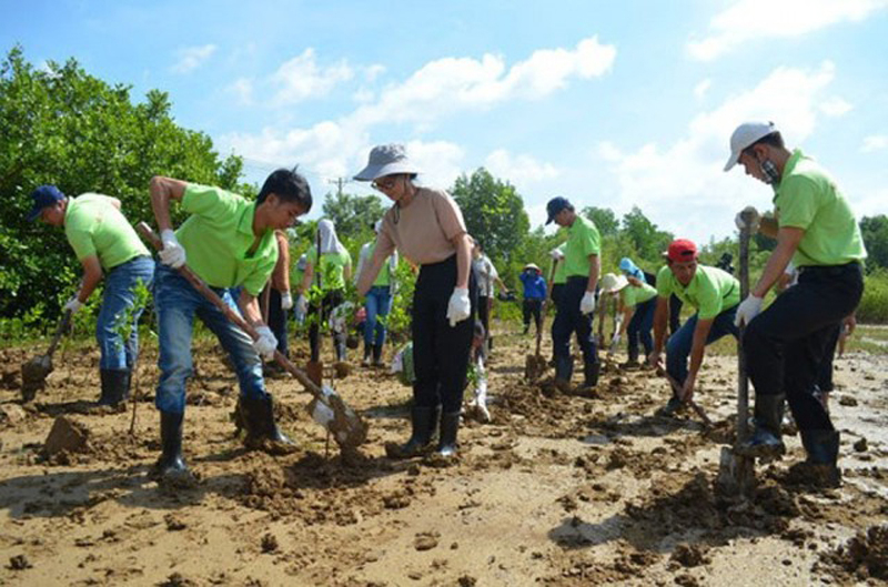 Liên hoan phim Môi trường toàn quốc lần thứ 8: Giới thiệu các sáng kiến, giải pháp hiệu quả, mô hình, gương điển hình tiên tiến trong phong trào bảo vệ môi trường..