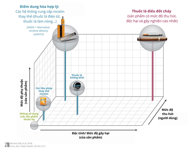 Thuốc lá điếu đốt cháy là sản phẩm độc hại nhất trong chuỗi nguy cơ.