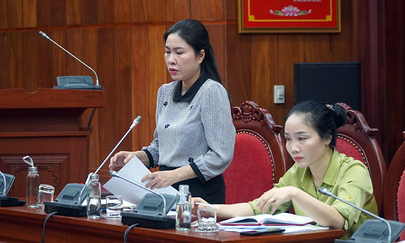 Đại diện lãnh đạo Ban Dân vận Tỉnh ủy, thành viên Ban Chỉ đạo DCƠCS trình bày báo cáo kết quả thực hiện nhiệm vụ 6 tháng đầu năm 