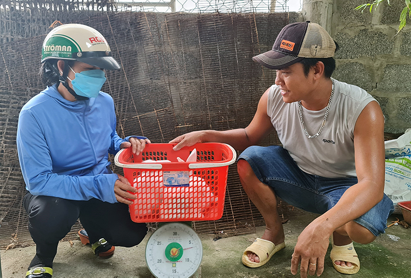 Trung bình mỗi tháng, anh Thuần xuất bán 400 con thỏ thương phẩm cho các nhà hàng, khách sạn trong tỉnh.