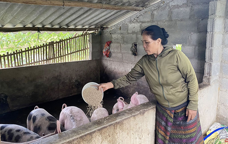 Nguồn vốn tín dụng CSXH đã đến với các hộ đồng bào dân tộc thiểu số, giúp họ thoát cảnh đói ăn và vươn lên làm giàu.