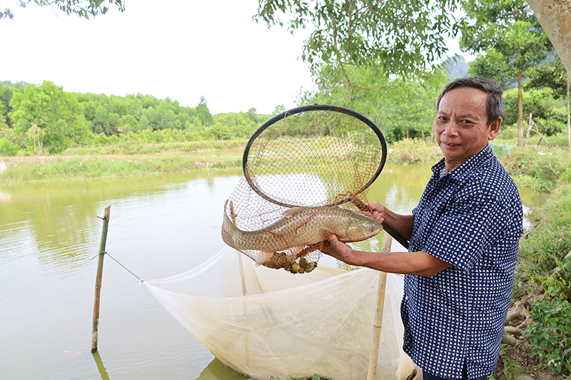 Mô hình gia trại tổng hợp của ông Cao Xuân Sang, xã Yên Hóa (Minh Hóa).