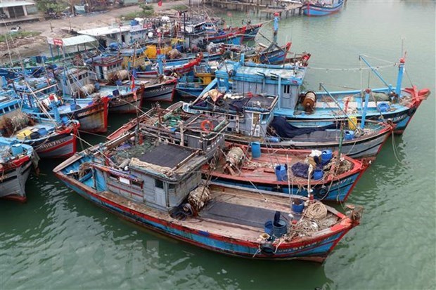 Tàu cá của ngư dân neo đậu tại Đà Nẵng. (Ảnh: Trần Lê Lâm/TTXVN)
