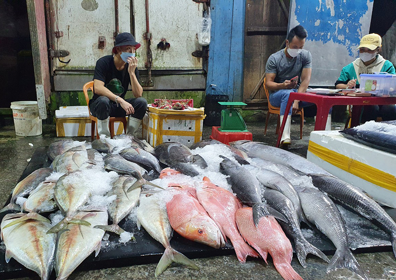 Sản lượng khai thác thủy sản ước đạt hơn 40.000 tấn.