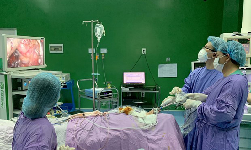 Nghỉ hưu ở tuổi cao hơn đối với viên chức không quá 5 năm (60 tháng). (Ảnh minh họa: TTXVN phát)