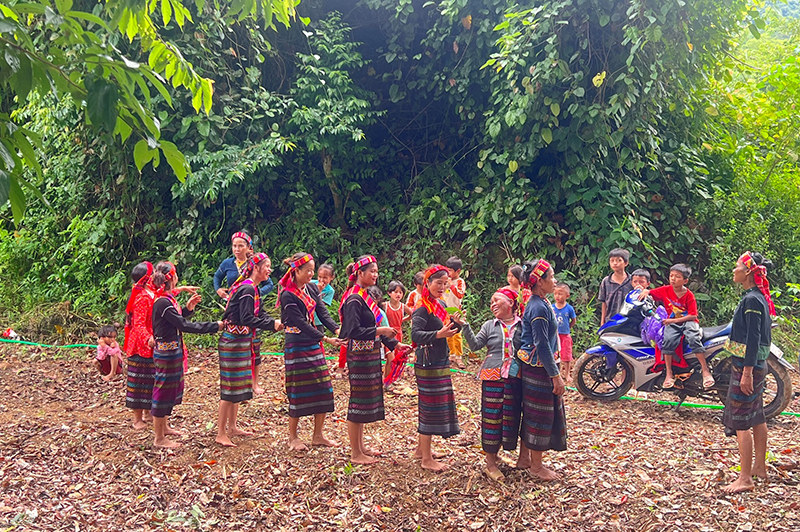 Lễ hội Trỉa lúa là lễ hội quan trọng trong tín ngưỡng của đồng bào Bru-Vân Kiều, xã Trường Sơn.