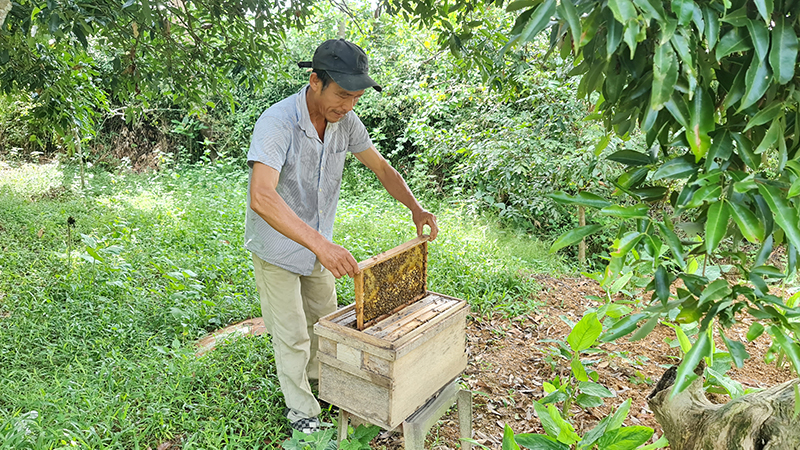 Nhiều lao động sau khi được tập huấn, đào tạo nghề đã mạnh dạn phát triển các mô hình chăn nuôi.