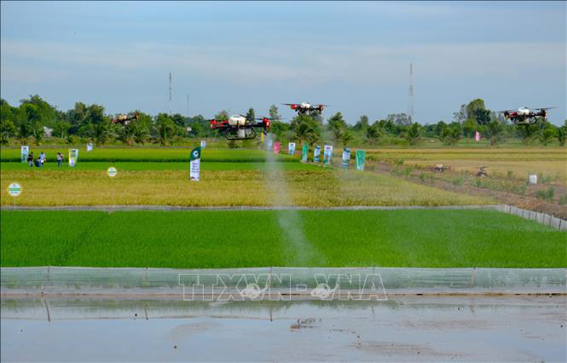 Trình diễn phun thuốc, bón phân bằng thiết bị bay không người lái. 