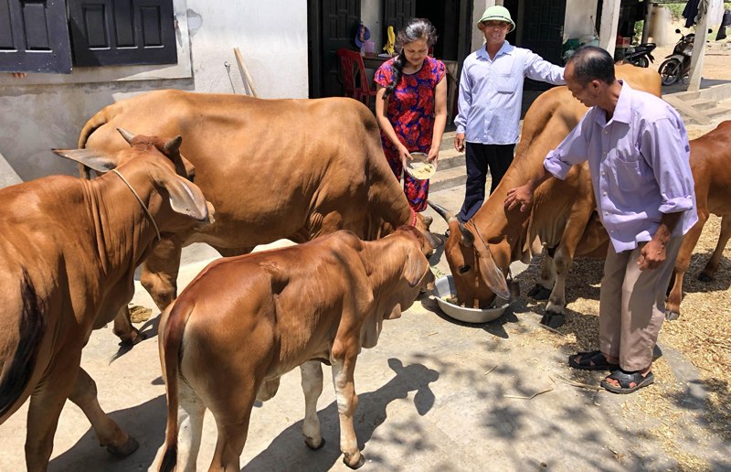 Nhiều hội viên, phụ nữ nghèo trên địa bàn huyện Bố Trạch vay vốn ưu đãi phát triển kinh tế.