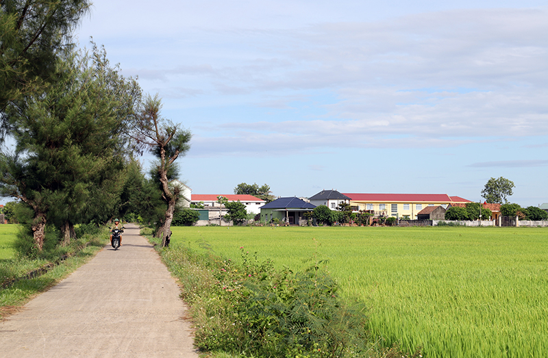 Màu xanh yên bình nơi thôn Long Đại.