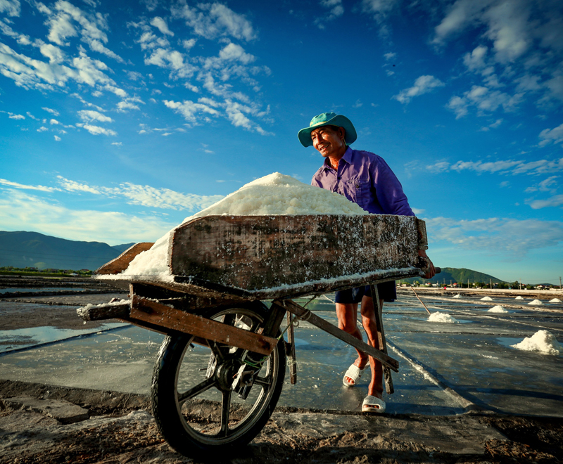 Vất vả nghề muối Quảng Phú (Quảng Trạch). Ảnh: Lê Thanh Thu