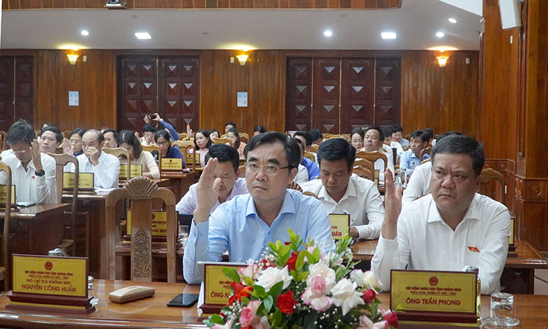 Đại biểu biểu quyết thông qua nghị quyết tại kỳ họp