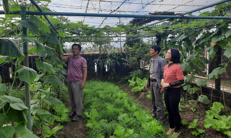Thông qua các phong trào thi đua, các cấp hội nông dân lựa chọn hội viên ưu tú để kết nạp vào Đảng.