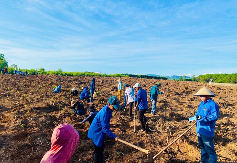 Đoàn viên thanh niên trồng cây gây rừng