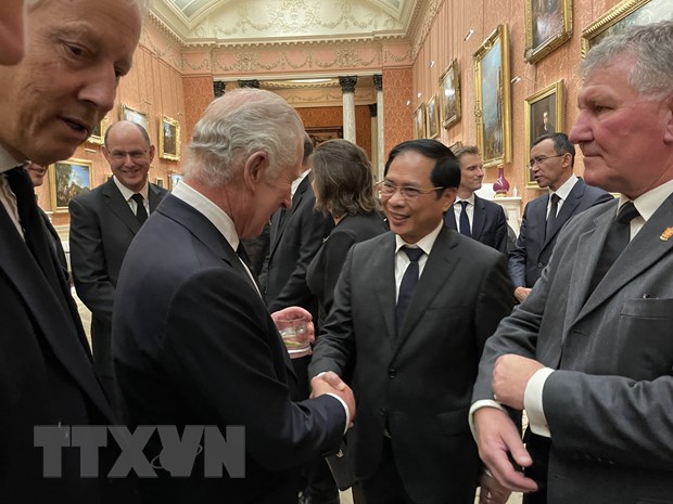 Bộ trưởng Ngoại giao Bùi Thanh Sơn tại lễ tiếp tân của Vua Charles III ở Cung điện Buckingham ngày 18/9. (Ảnh cắt từ clip tang lễ do Bộ Ngoại giao Anh cung cấp)