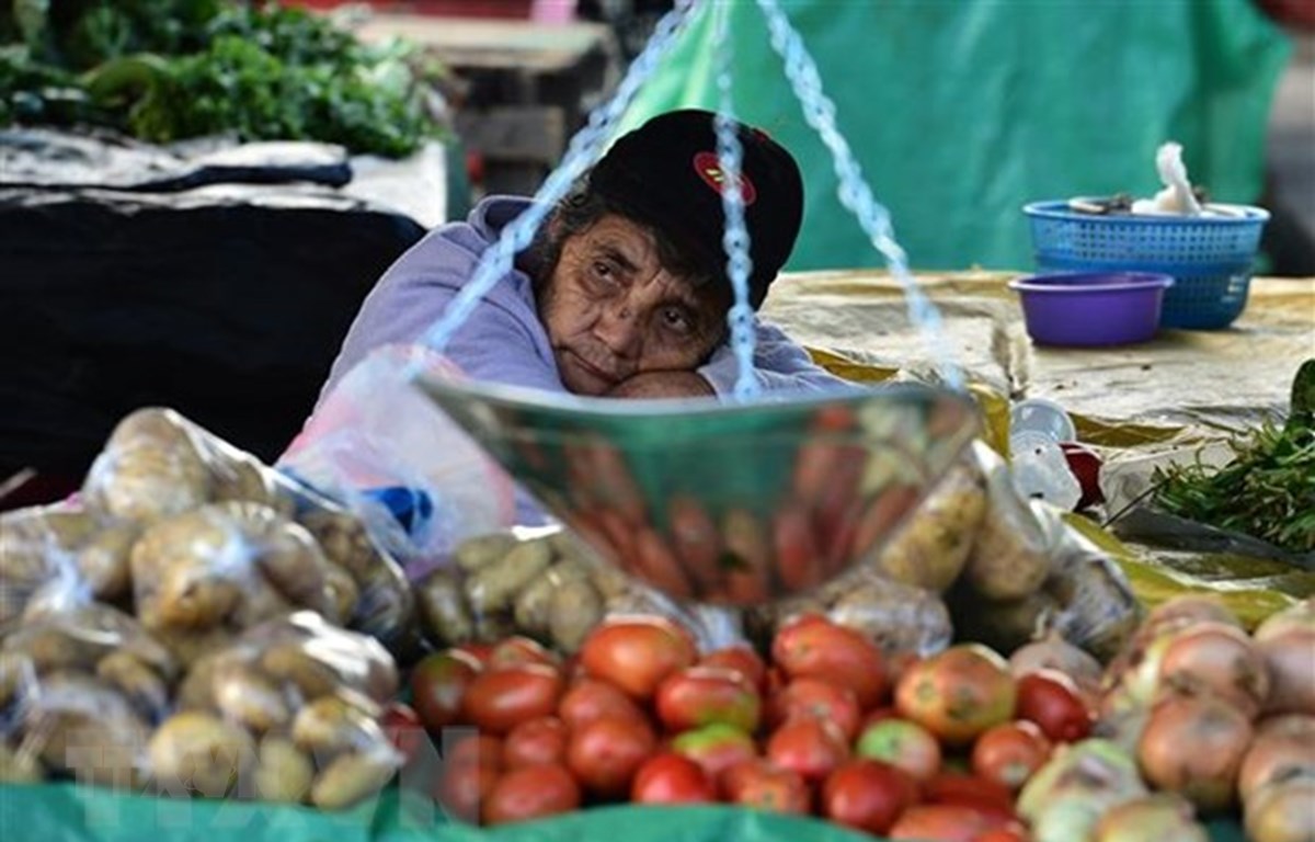 Một người bán rau, củ, quả tại chợ ở Tegucigalpa, Honduras. (Ảnh: AFP/TTXVN)