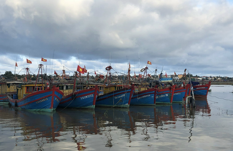 Các tàu cá của ngư dân neo đậu an toàn.