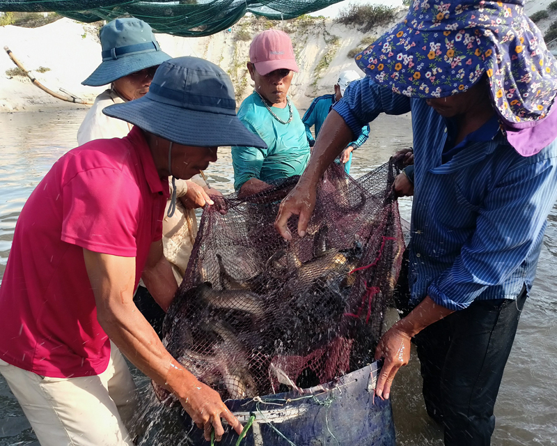Xã biển bãi ngang Ngư Thủy Bắc (Lệ Thủy) vẫn chưa có “lời giải” cho bài toán “đột phá” trong phát triển kinh tế.