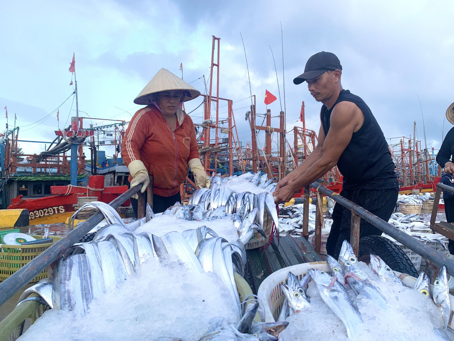 Bốc cá lên bờ đển bán.