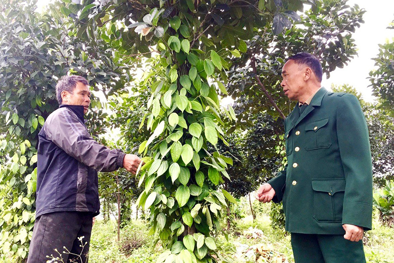 Nhiều hộ dân trên địa bàn huyện Bố Trạch đã đầu tư các mô hình sản xuất mang lại giá trị kinh tế cao.