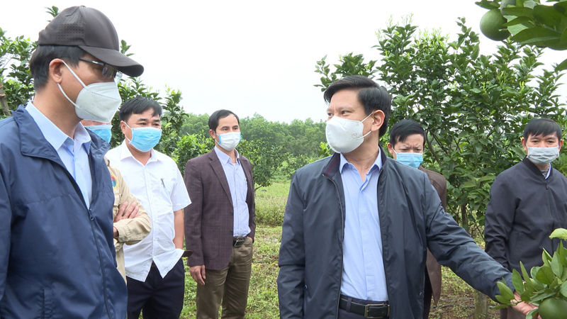 Lãnh đạo huyện Lệ Thủy kiểm tra, đánh giá, đôn đốc việc thực hiện nghị quyết đại hội Đảng bộ các cấp trên địa bàn.