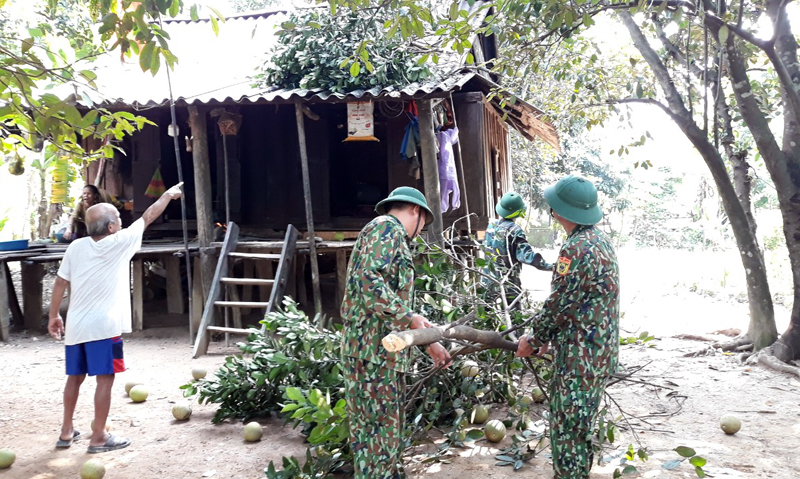 Chặt tỉa cây xanh giúp dân để phòng gió bão.