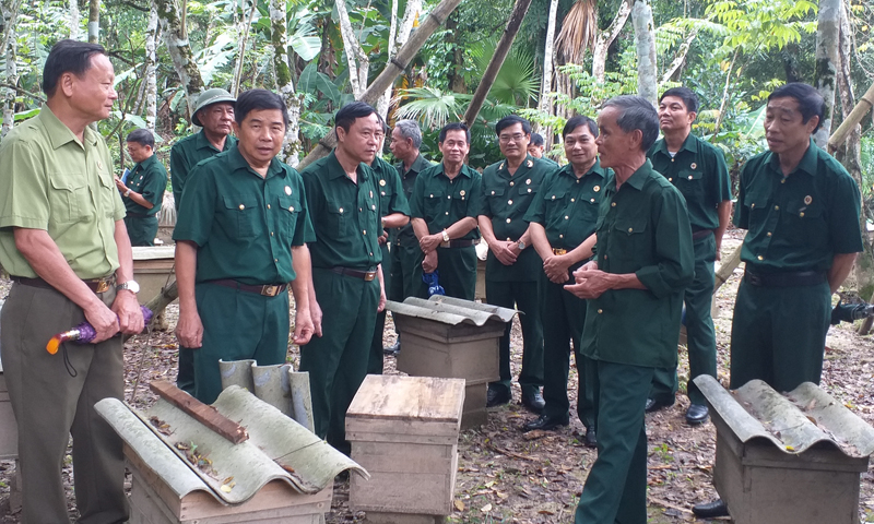 Lãnh đạo Hội CCB tỉnh tham quan mô hình nuôi ong của CCB Đinh Xuân Khách, xã Xuân Hóa (Minh Hóa).