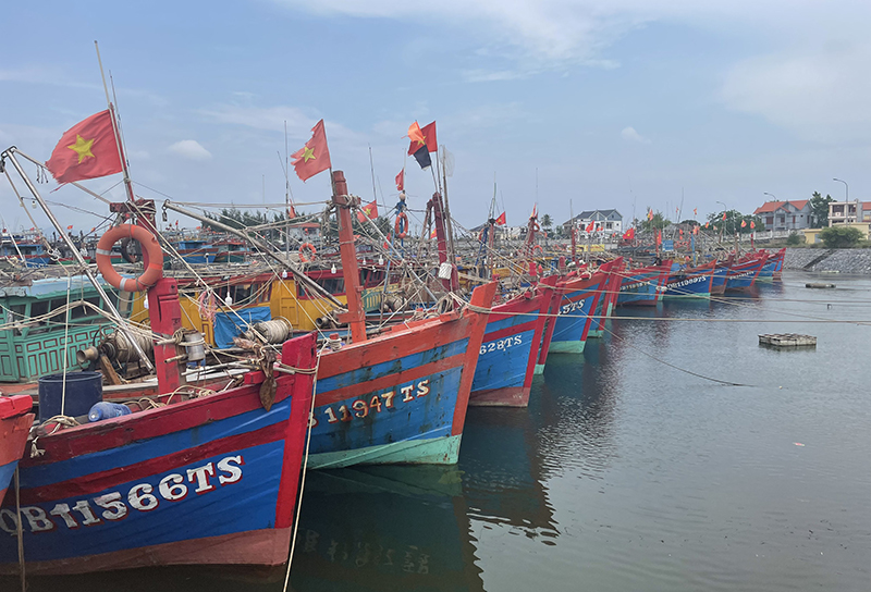 Toàn tỉnh có 94,5% tàu cá từ 15m trở lên được lắp đặt thiết bị giám sát hành trình.